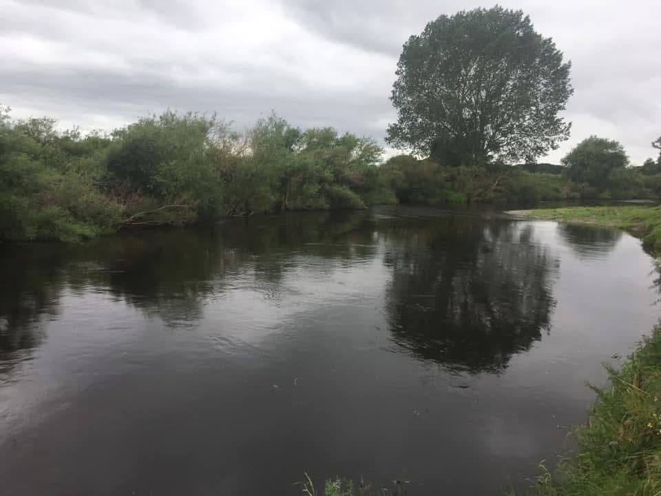 Dee - Worthenbury photo 9