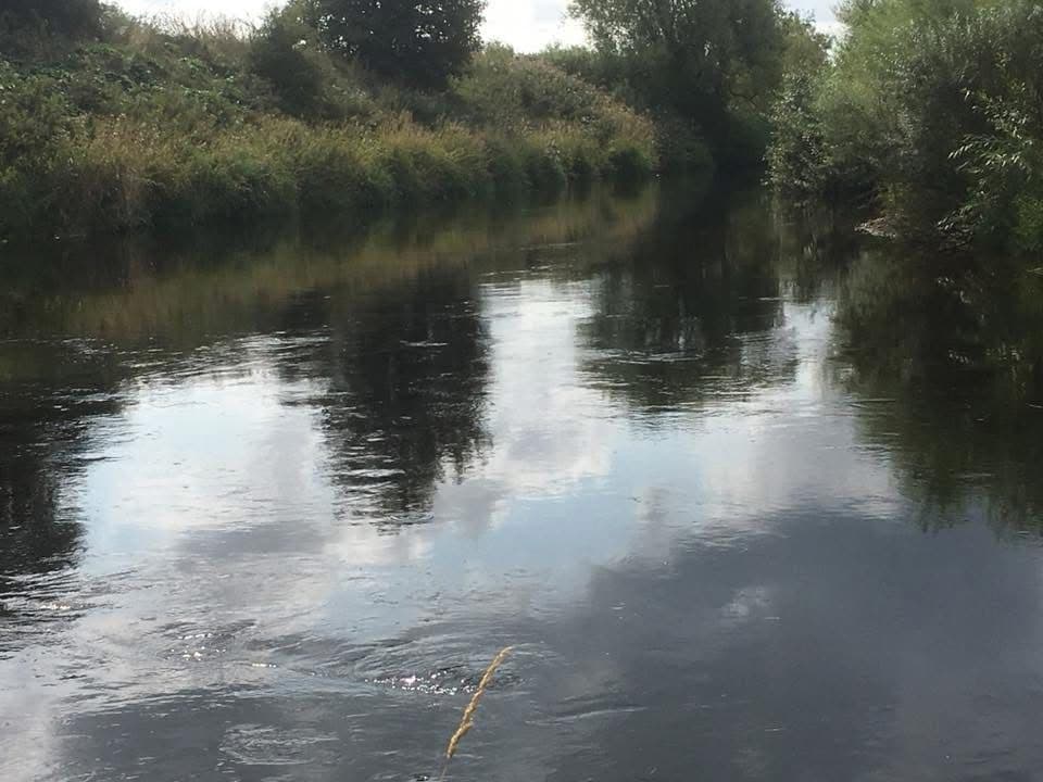 Dee - Worthenbury photo 17