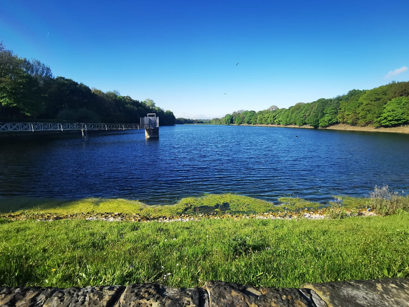 Worthington Lakes, Standish photo 3