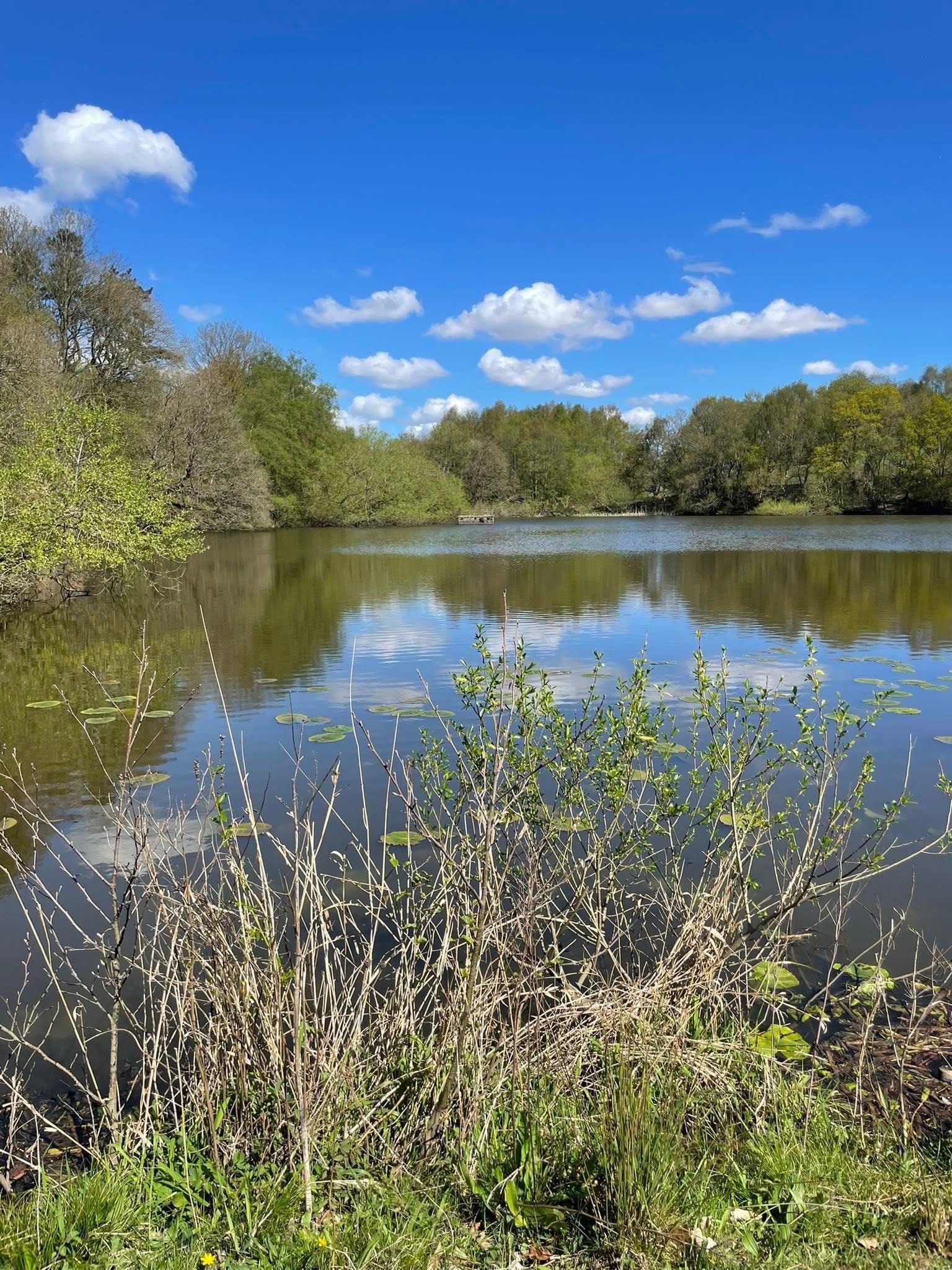 Worthington Lakes, Standish photo 11