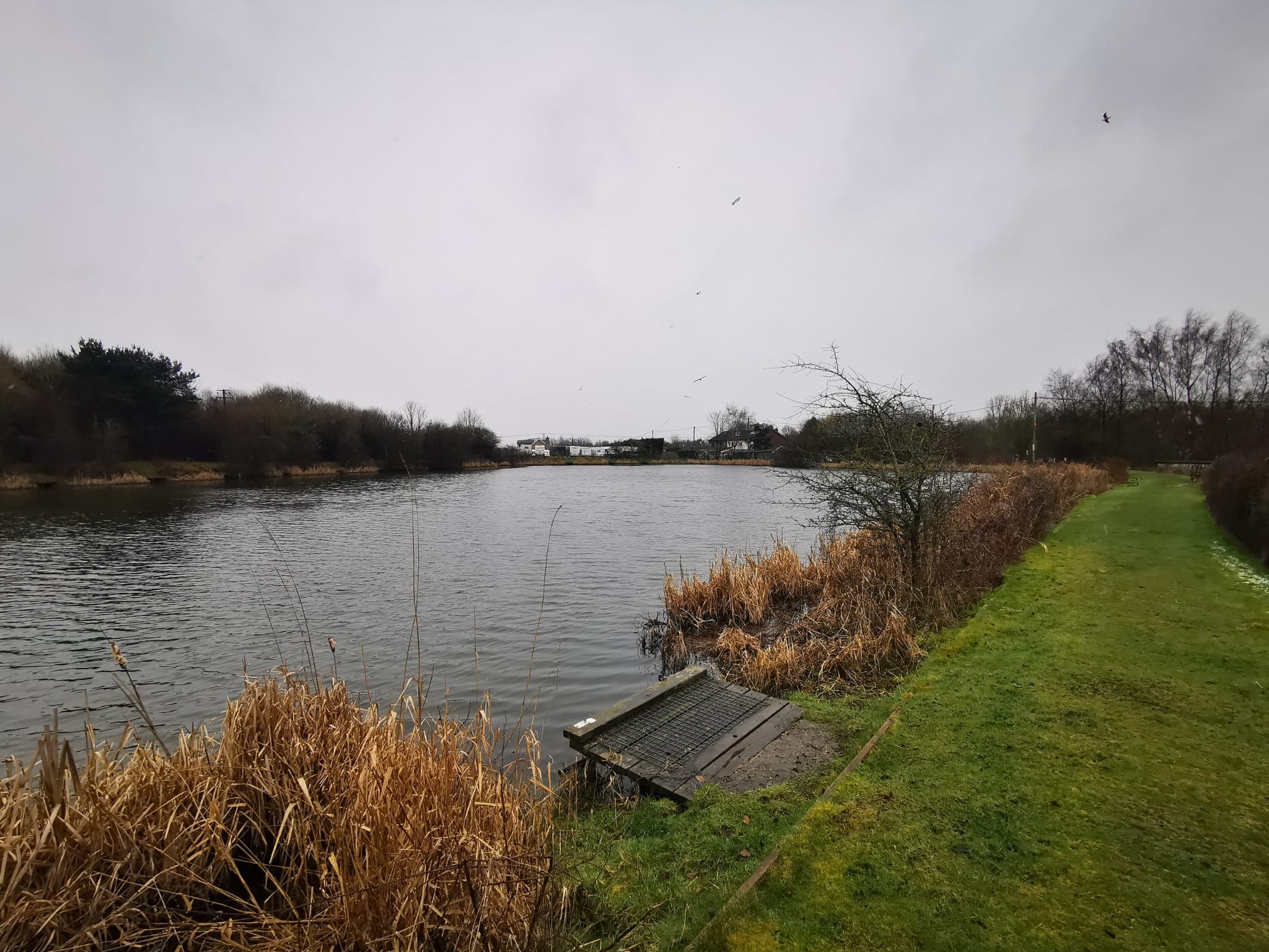 Woodshaw Reservoir photo 4