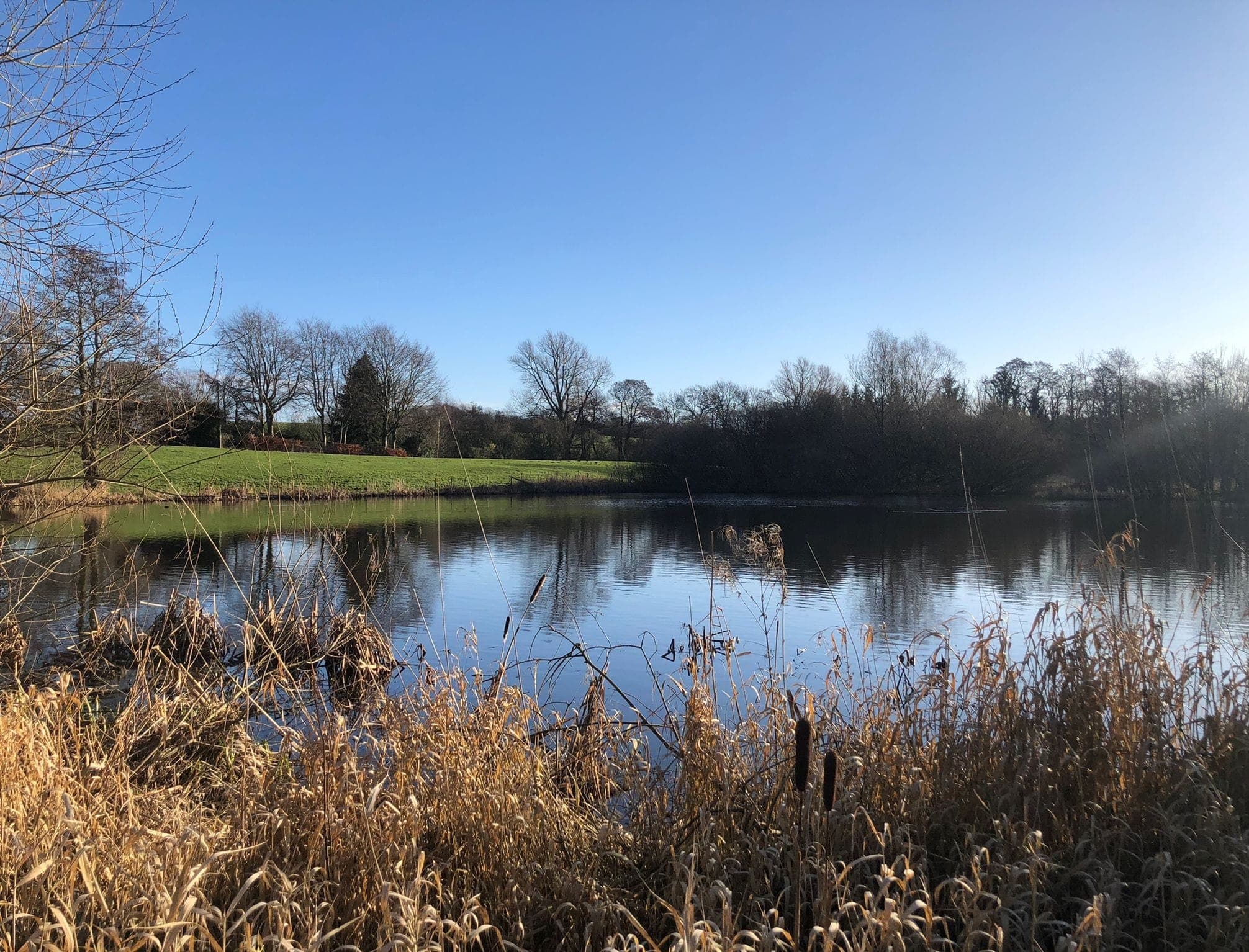 Cicely Mill Pool photo 7