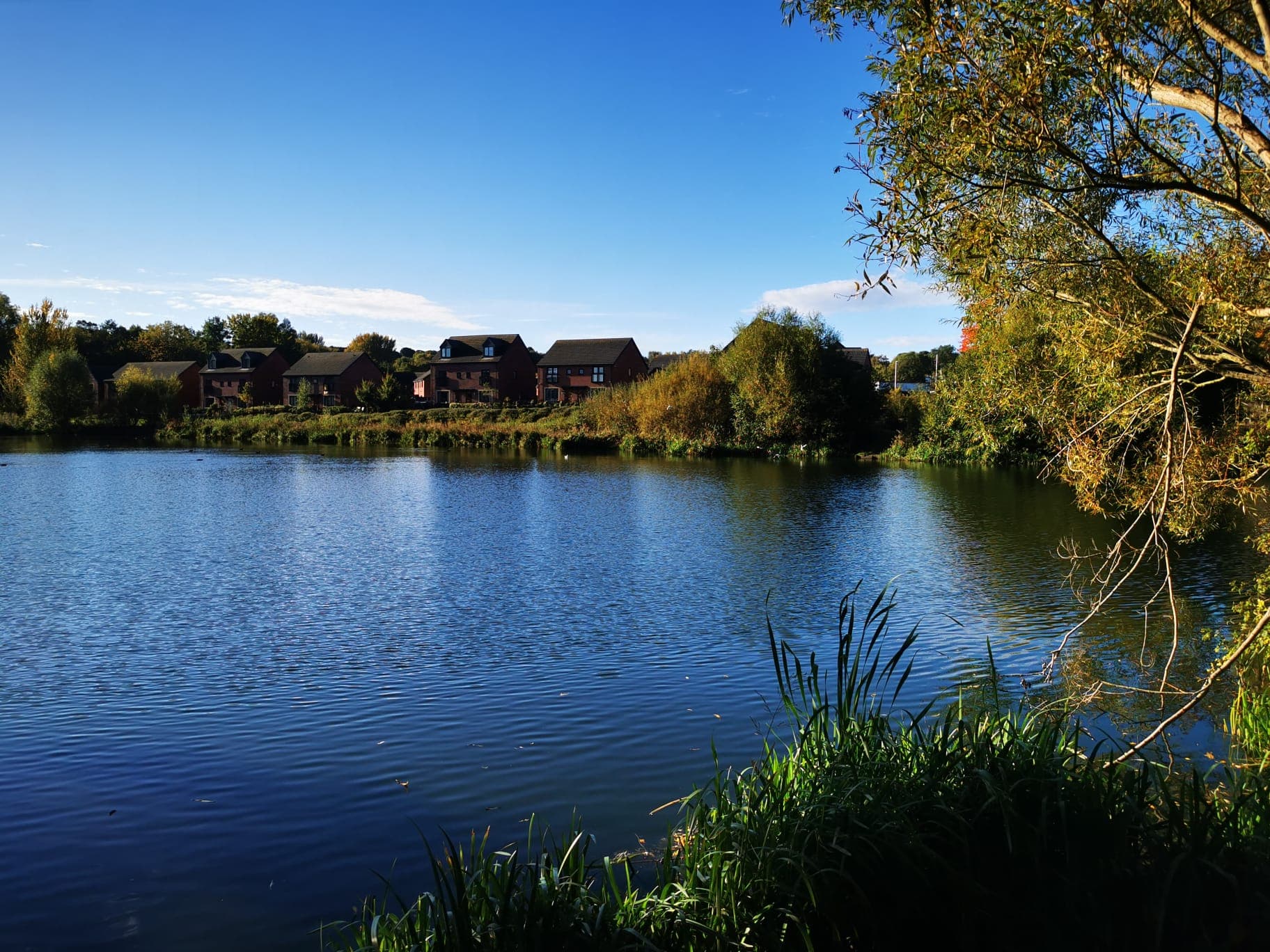 Phoenix Park Lake, Runcorn photo 9