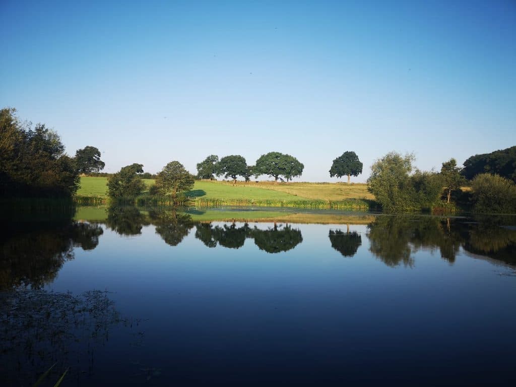 Cicely Mill Pool photo 8