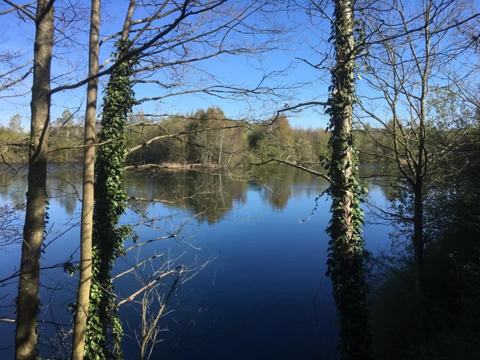 Moore Quarry photo 10