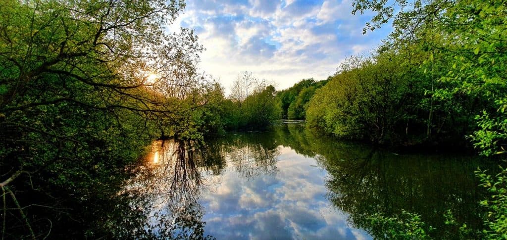 Rixton Clay Pits photo 12