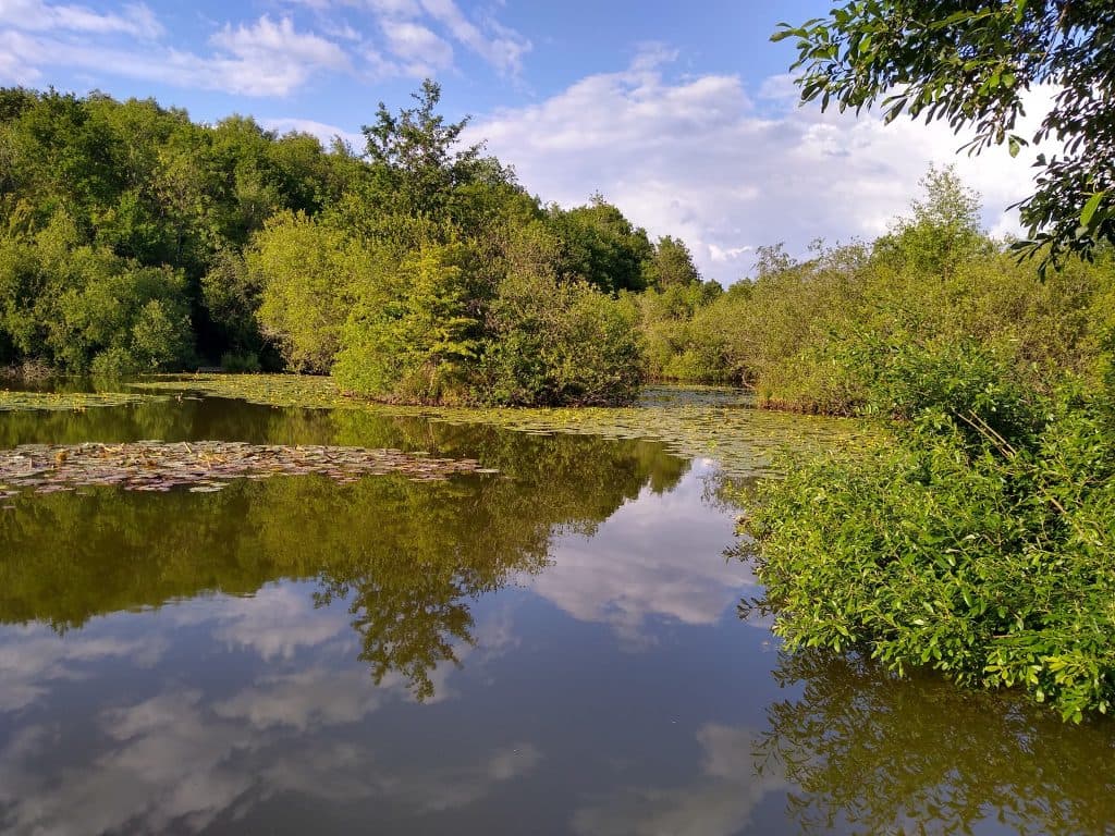 Rixton Clay Pits photo 13