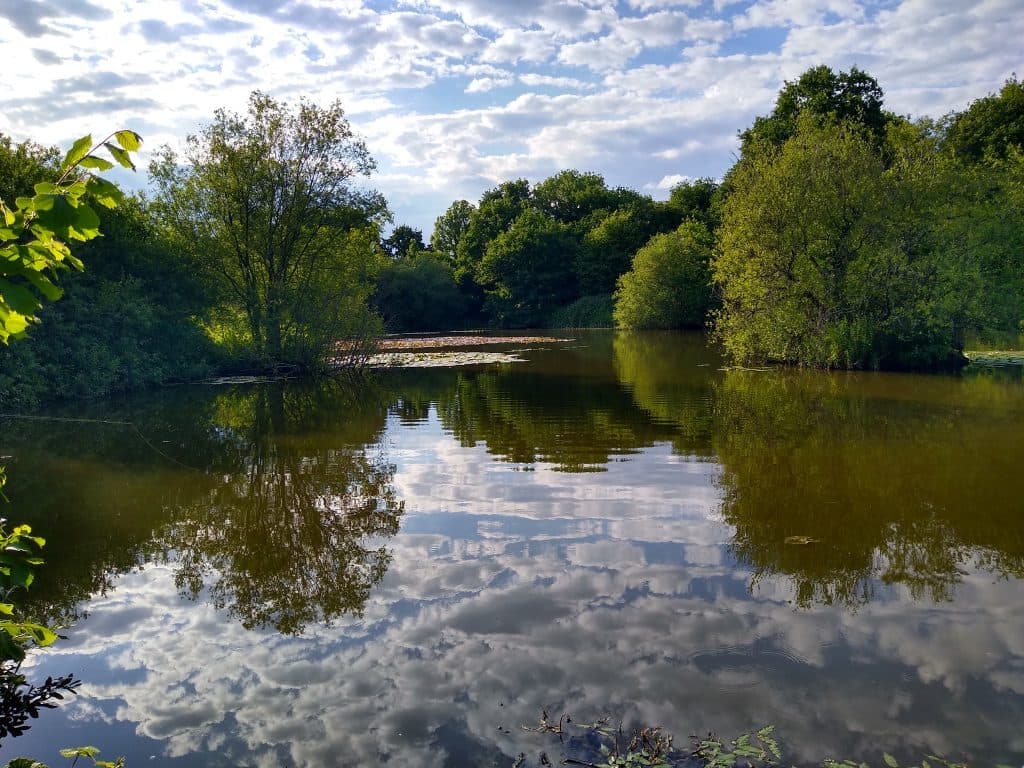 Rixton Clay Pits photo 15