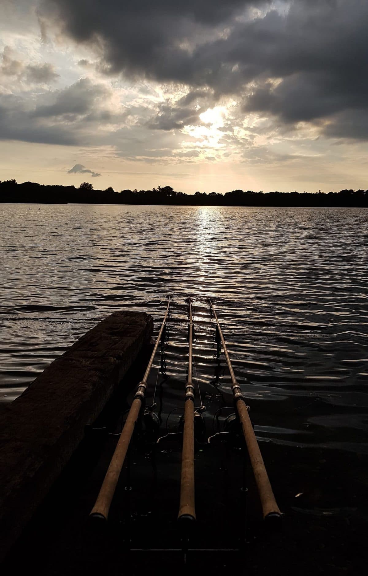 Big Sandiway photo 14