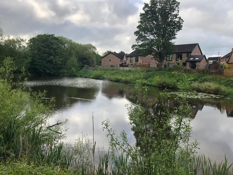 Statham Pool photo 7