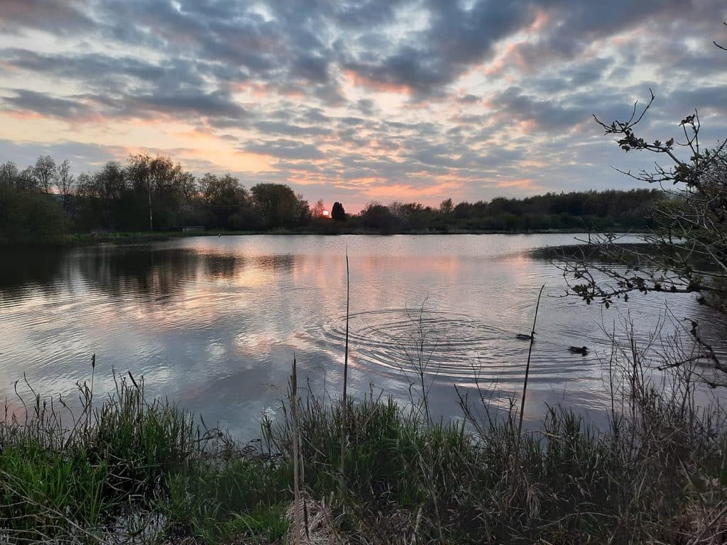 Woodshaw Reservoir photo 6