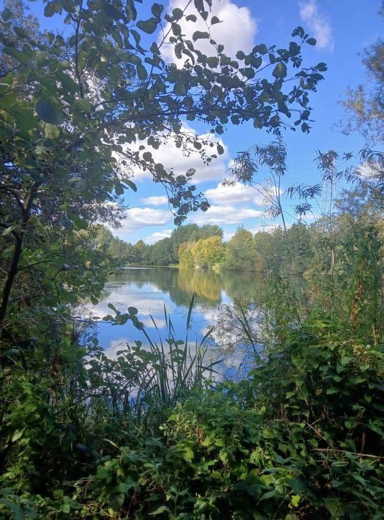 Grey Mist Mere photo 17