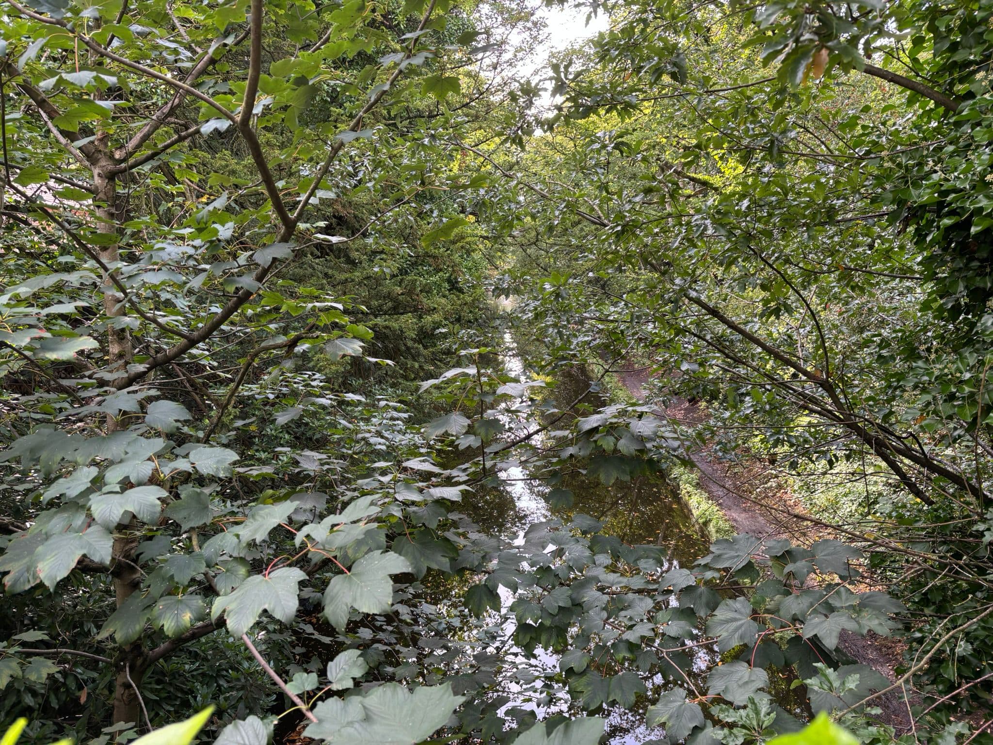 4 Acton Grange Br - Houghs Br (WALTON) photo 7