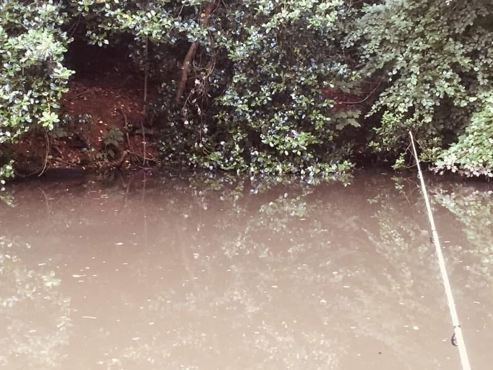 4 Acton Grange Br - Houghs Br (WALTON) photo 14