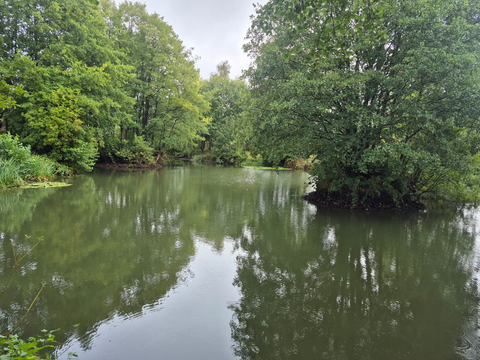 High Legh Fisheries photo 6