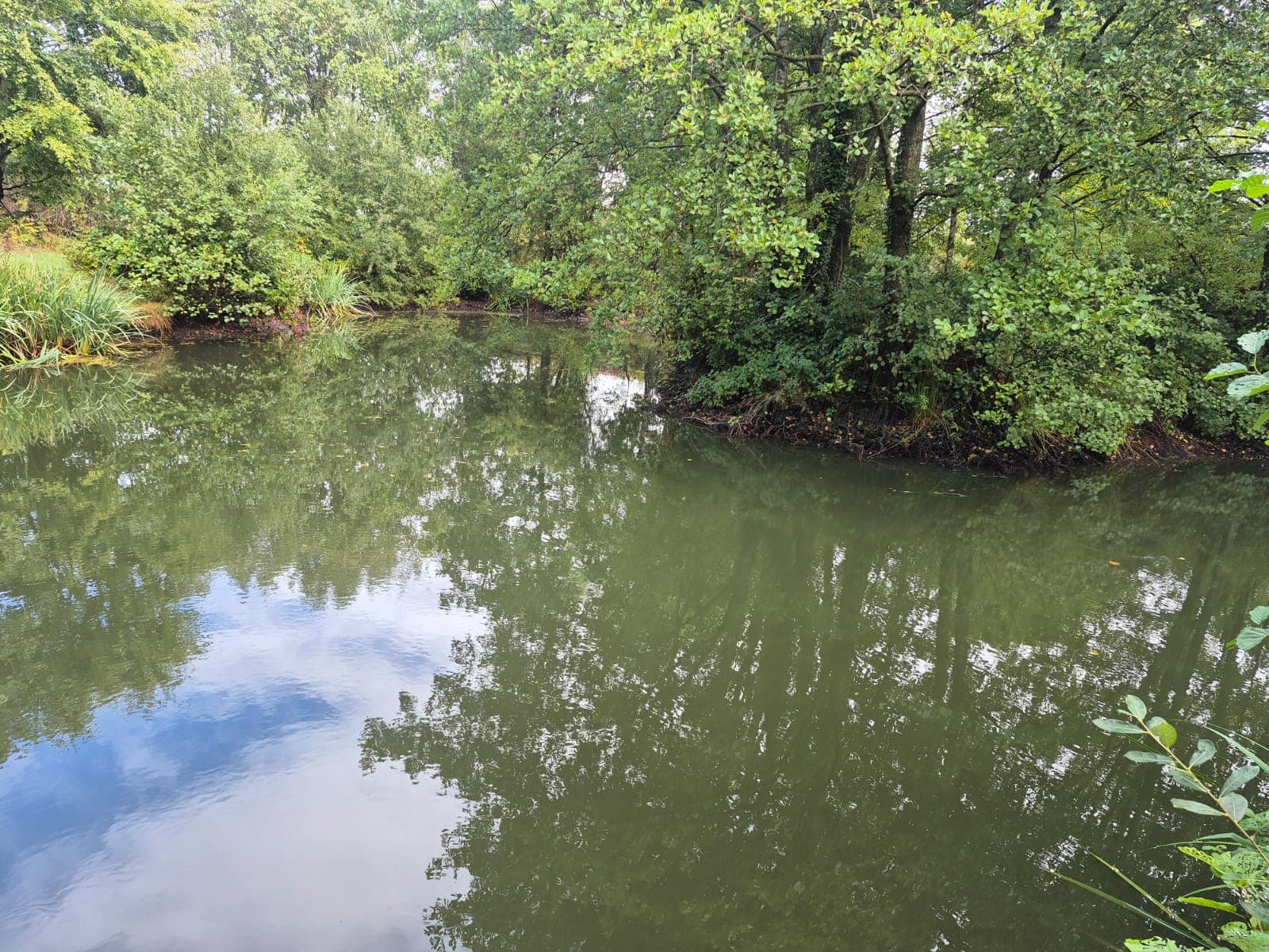 High Legh Fisheries photo 7