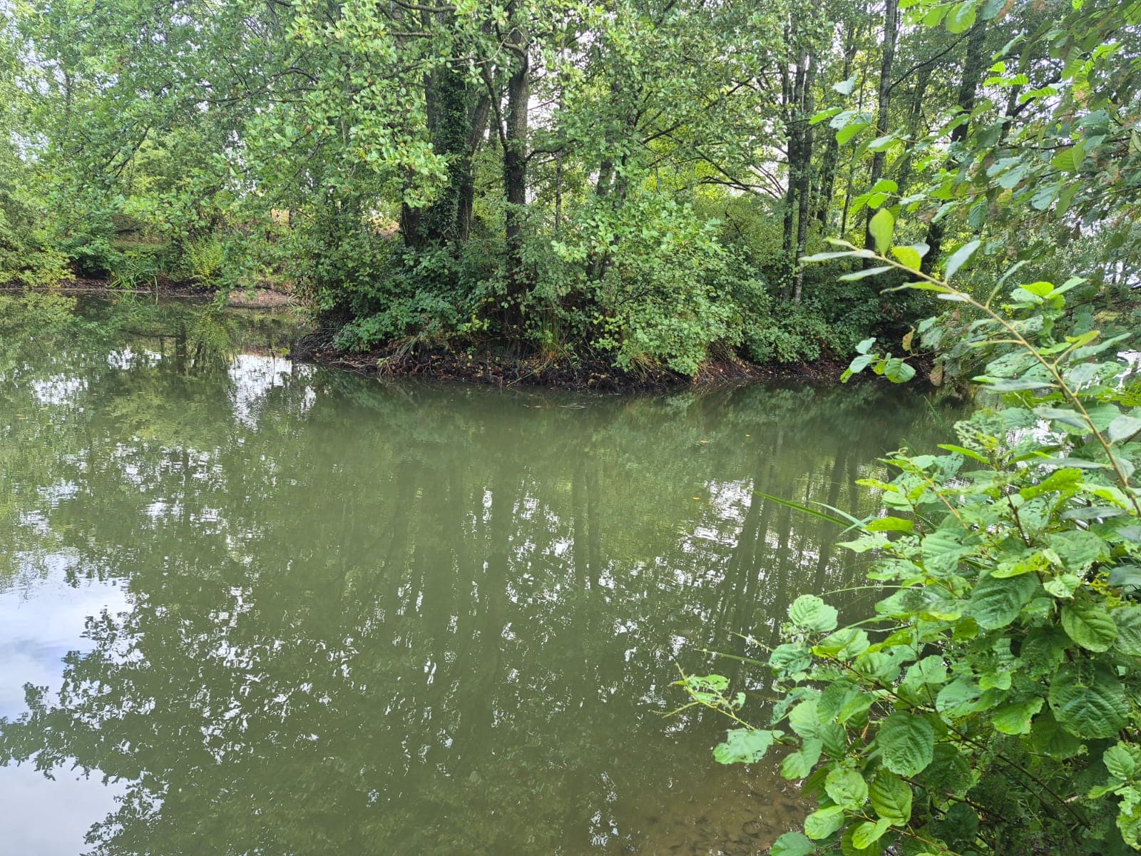 High Legh Fisheries photo 8