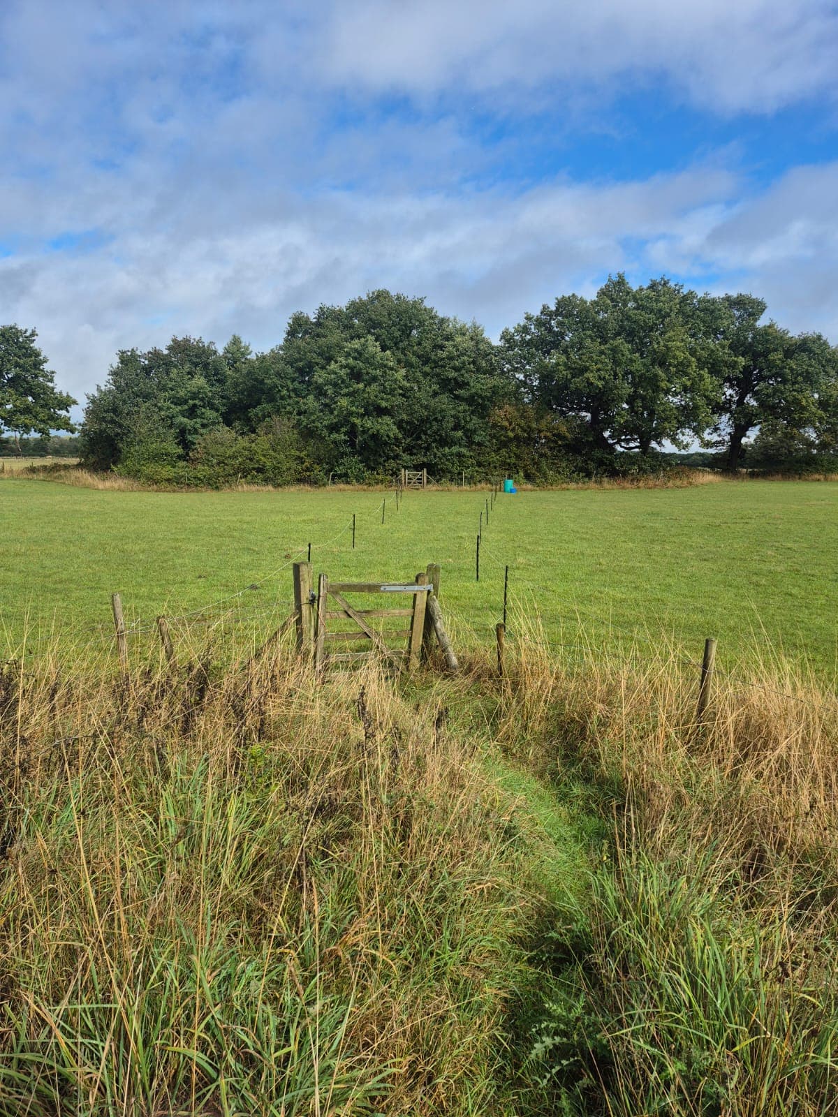 High Legh Fisheries photo 9
