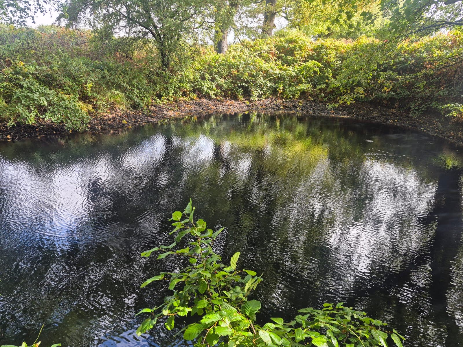 High Legh Fisheries photo 10