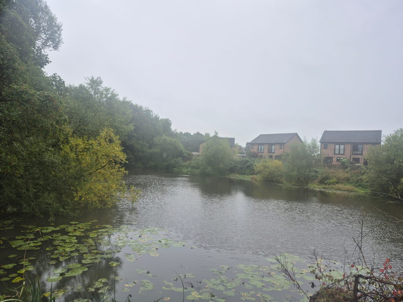 Statham Pool photo 8