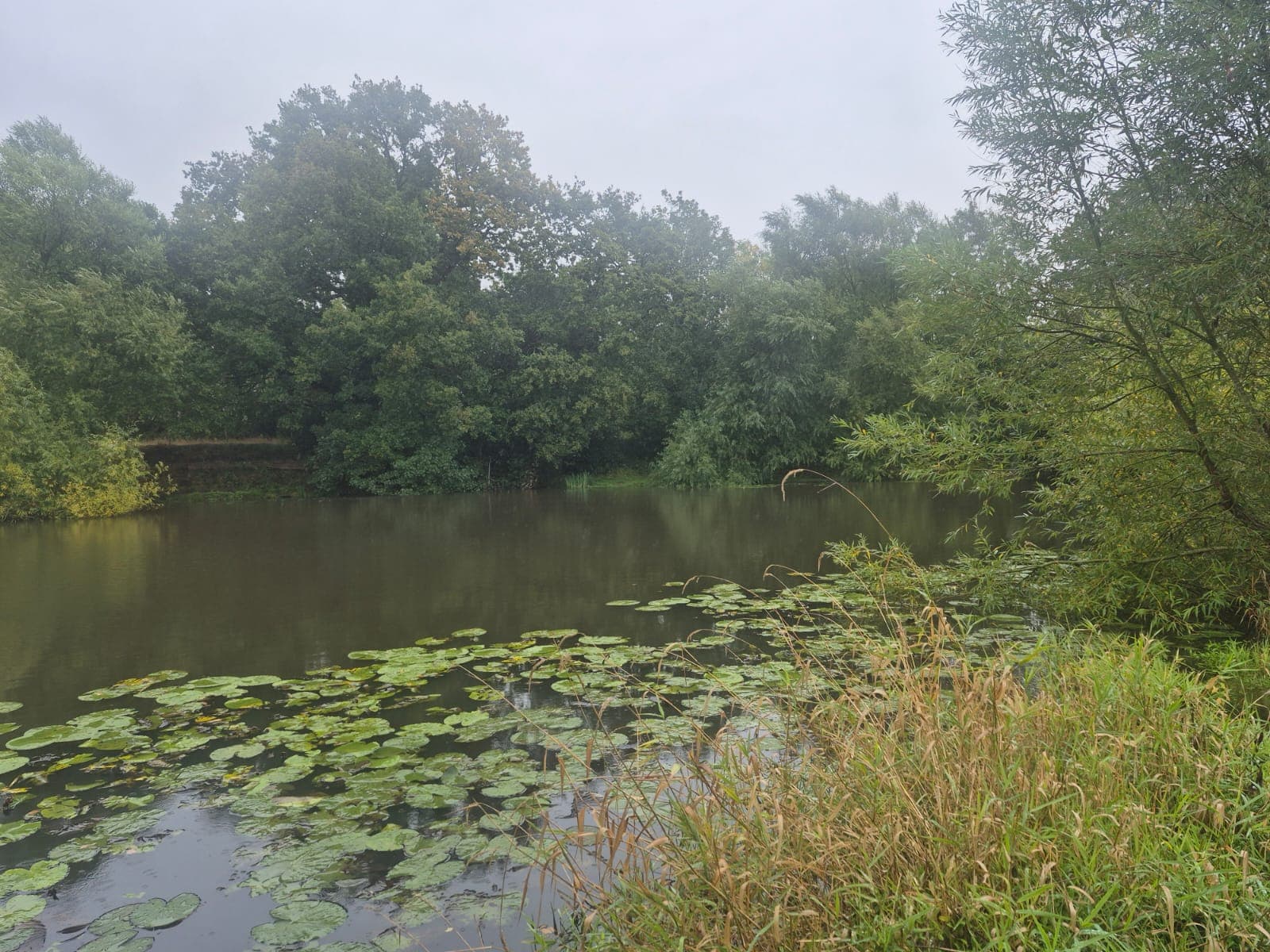 Statham Pool photo 9