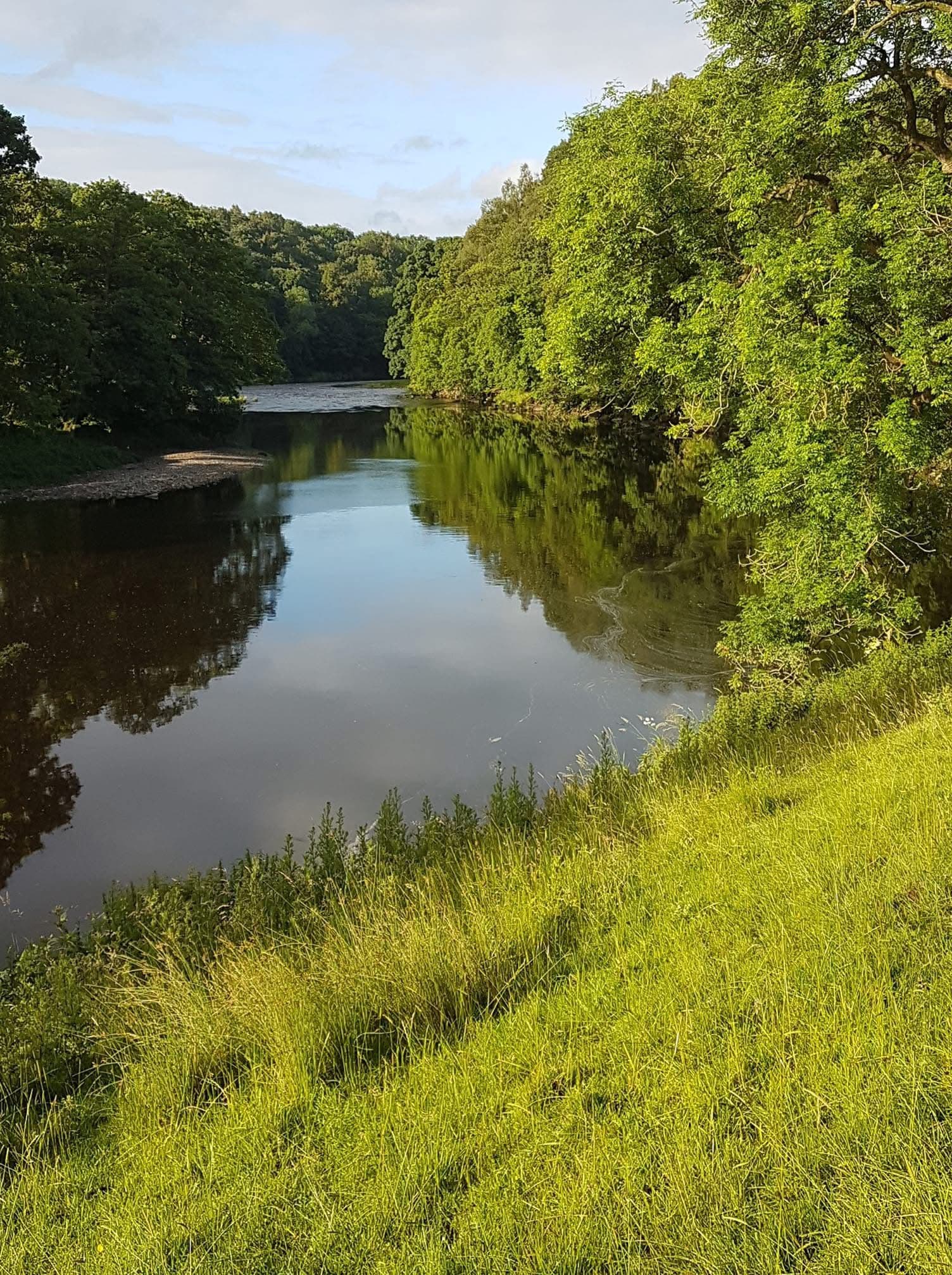 River Ribble – Hurst Green
