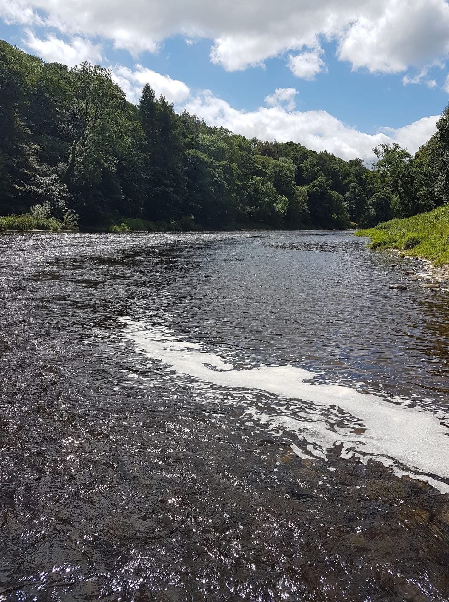 River Ribble – Hurst Green photo 2