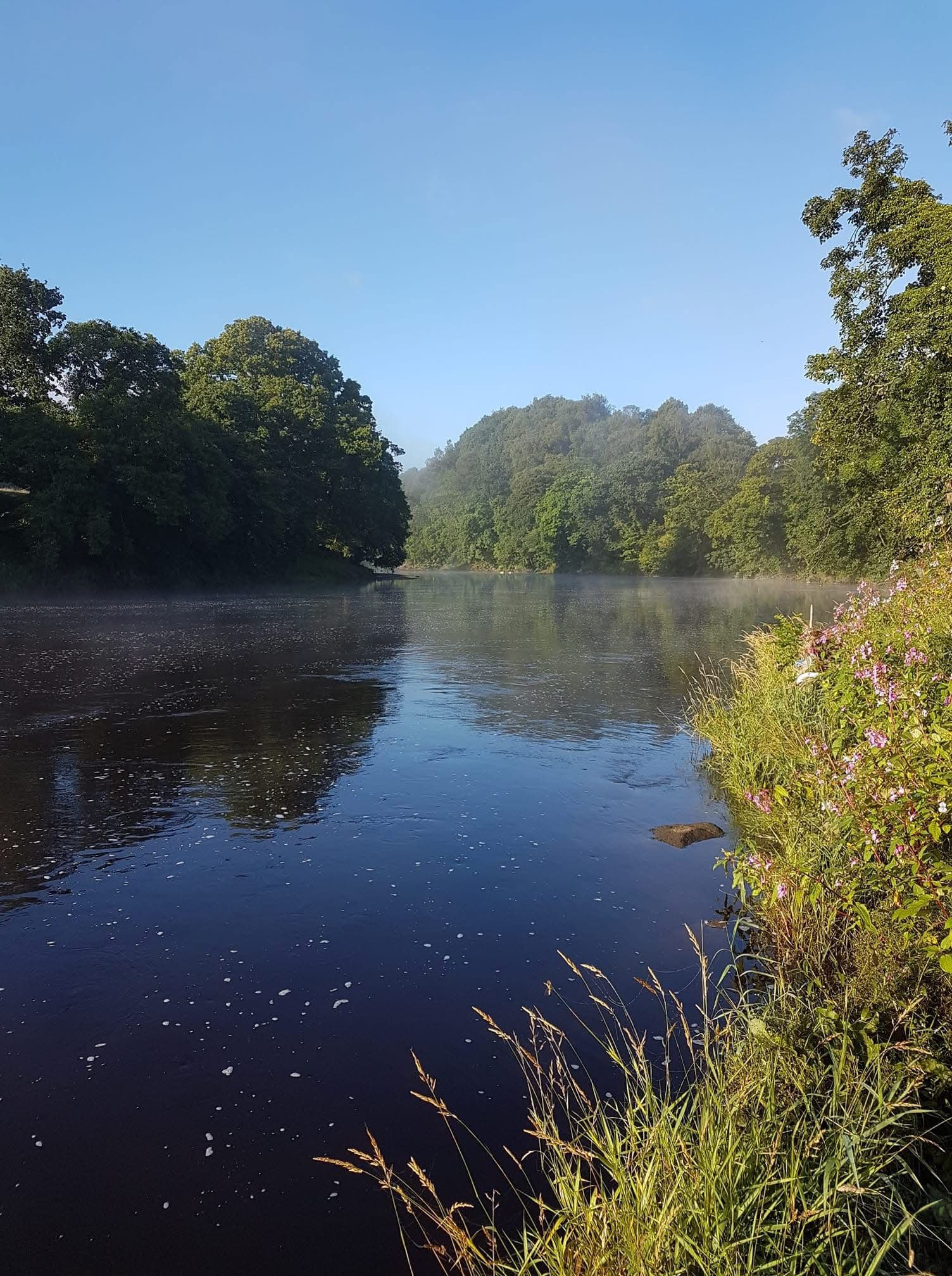 River Ribble – Hurst Green photo 4
