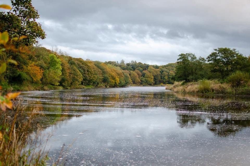 River Ribble – Hurst Green photo 5