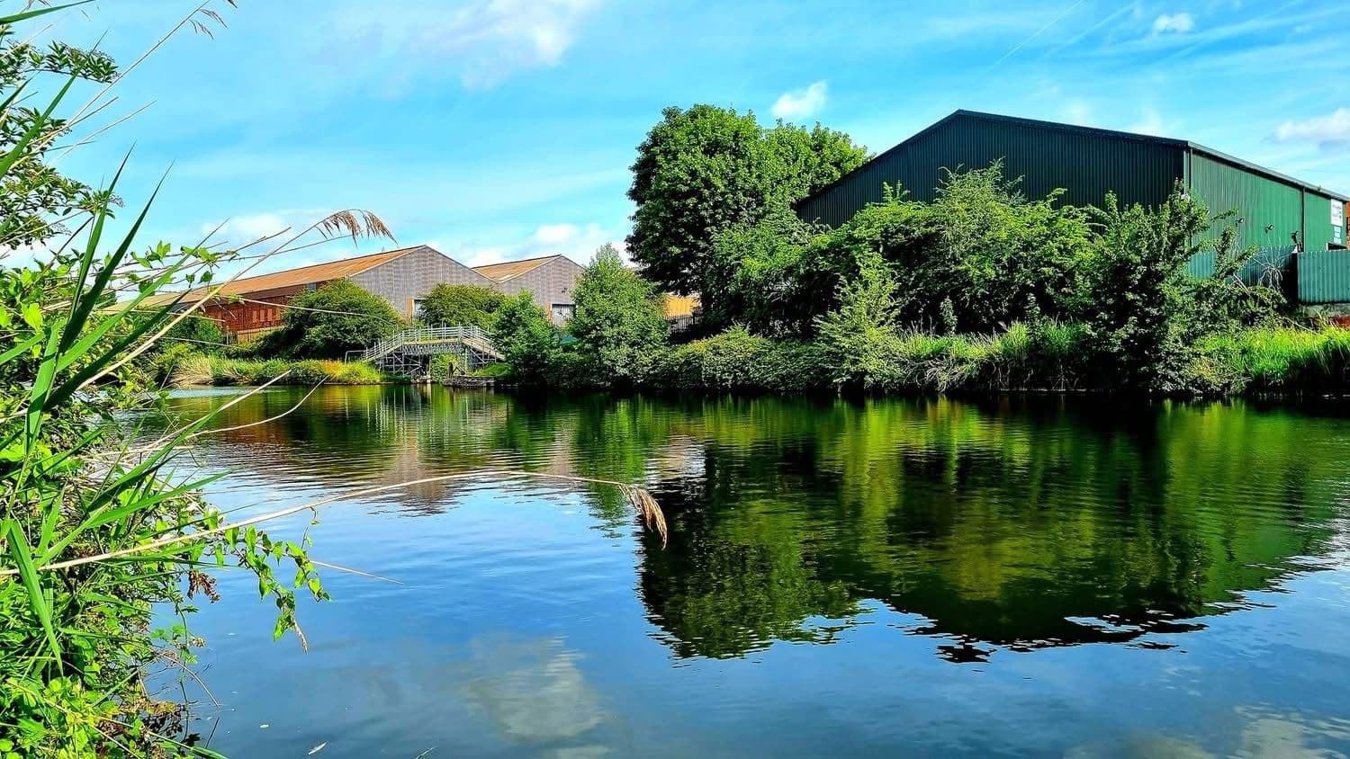 River Weaver Navigation - Frodsham photo 3