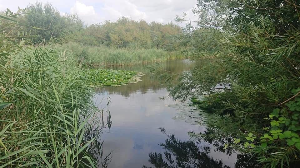 River Weaver Navigation - Frodsham photo 7