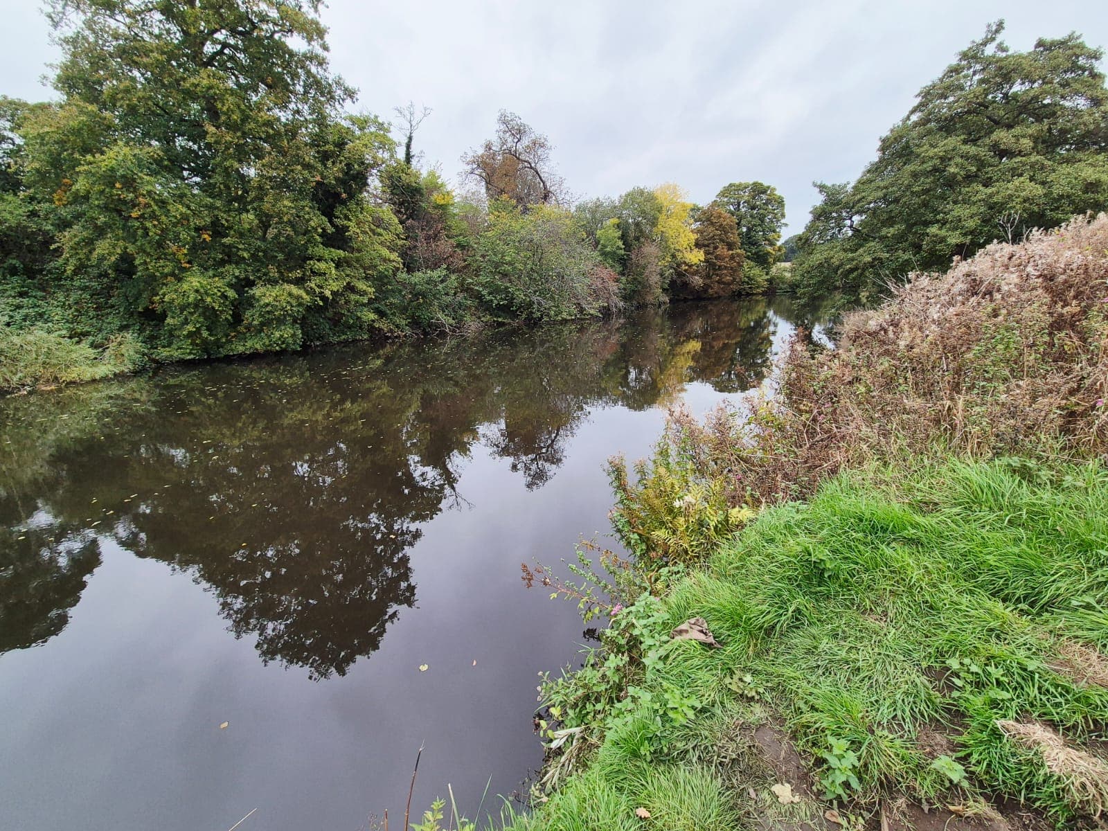 River Derwent – Darley Abbey photo 2