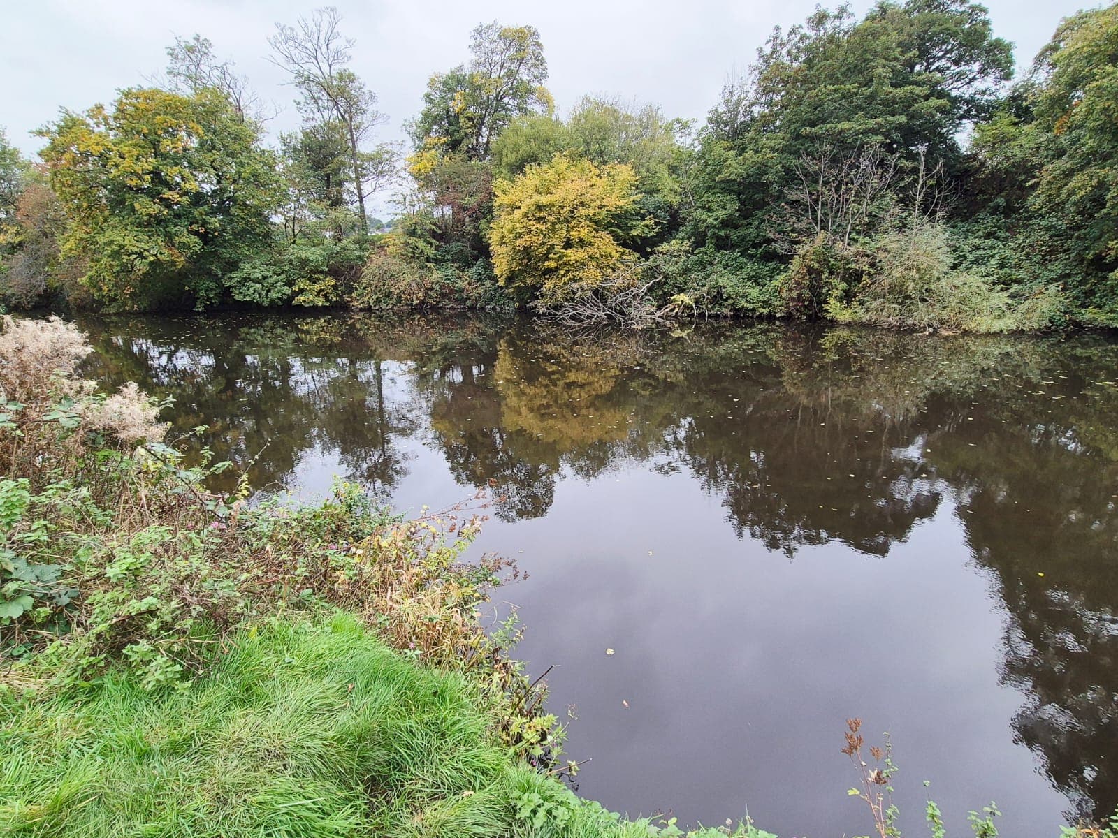 River Derwent – Darley Abbey photo 4