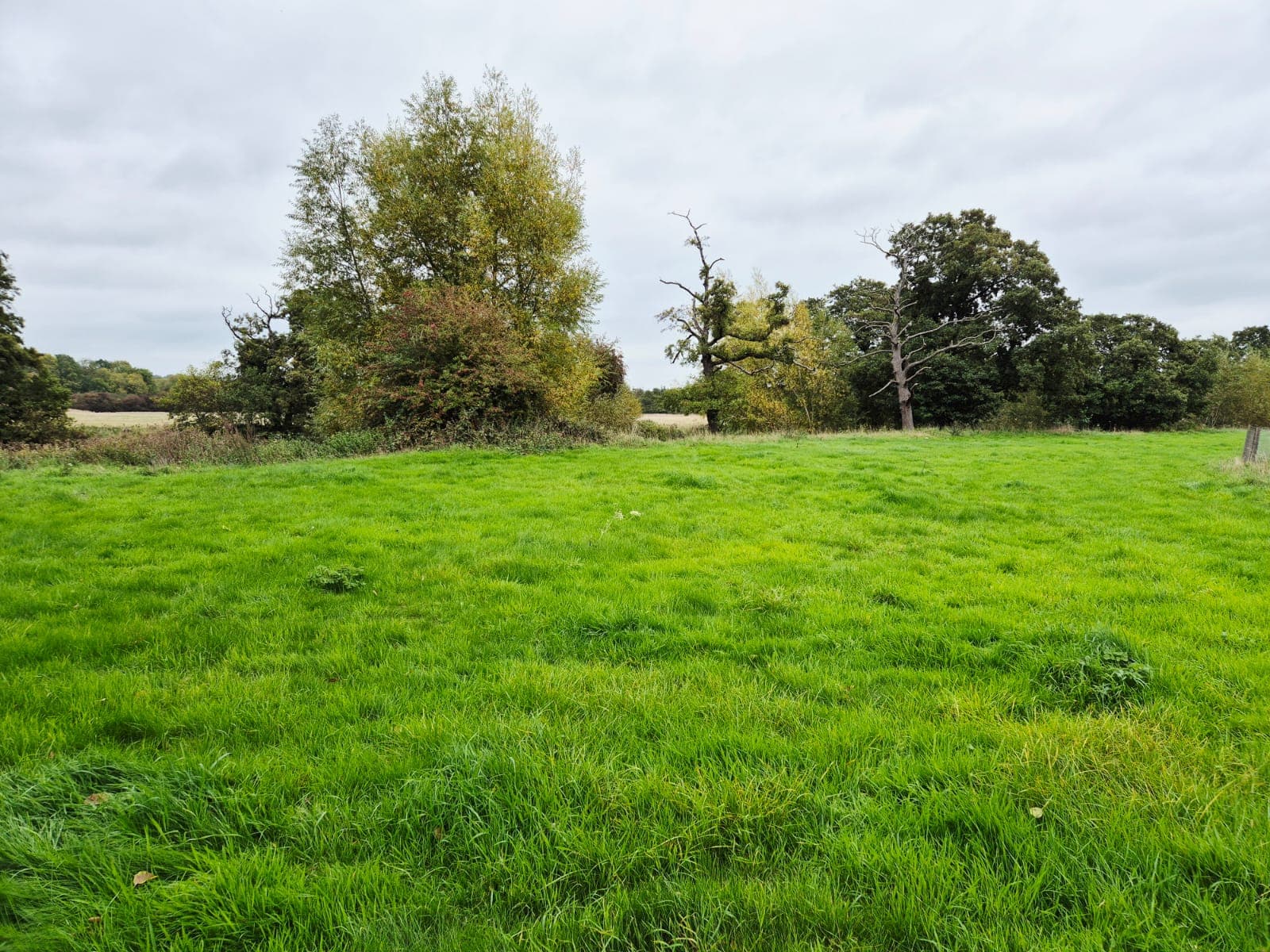 River Derwent – Darley Abbey photo 5