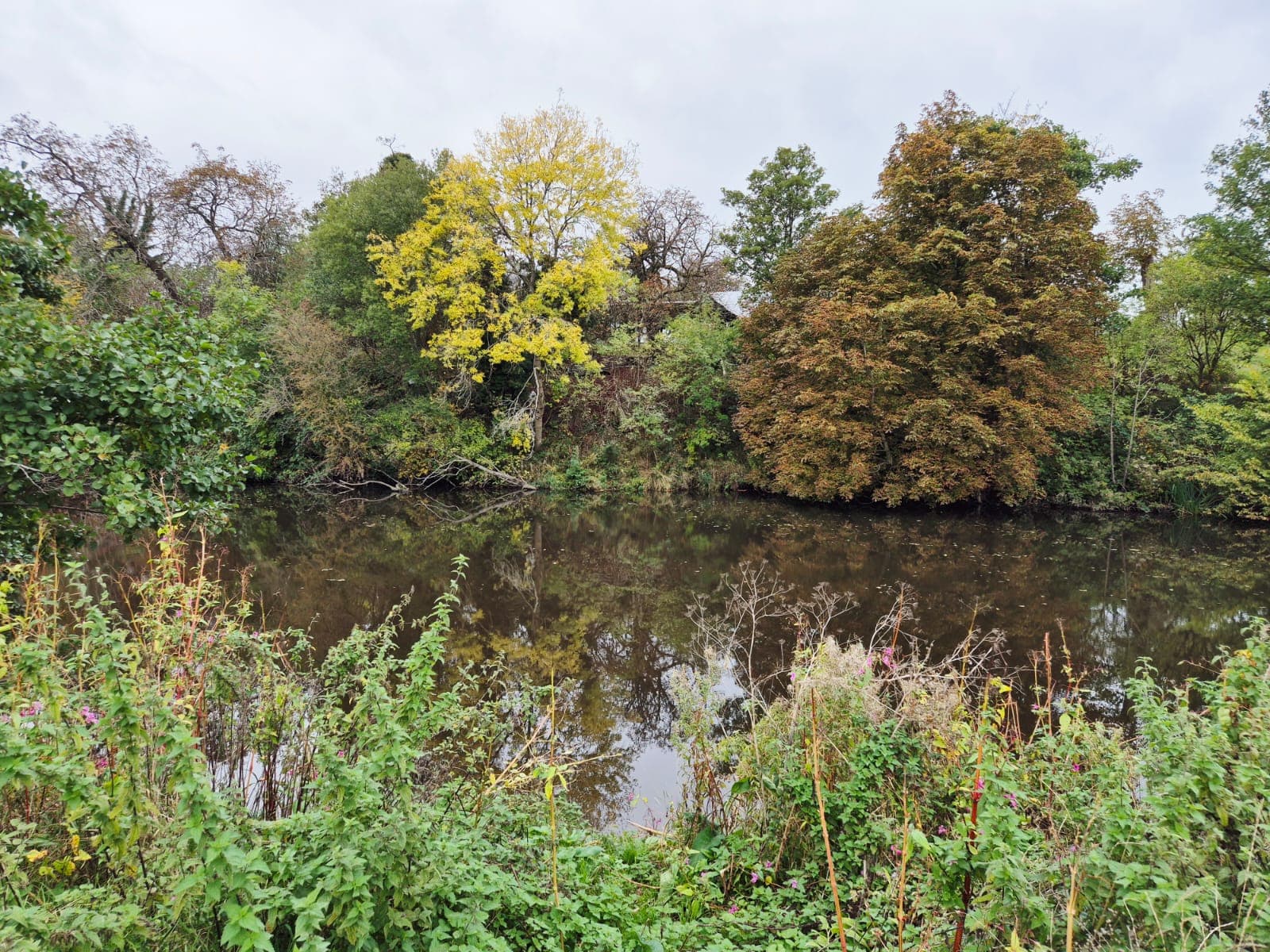 River Derwent – Darley Abbey photo 6