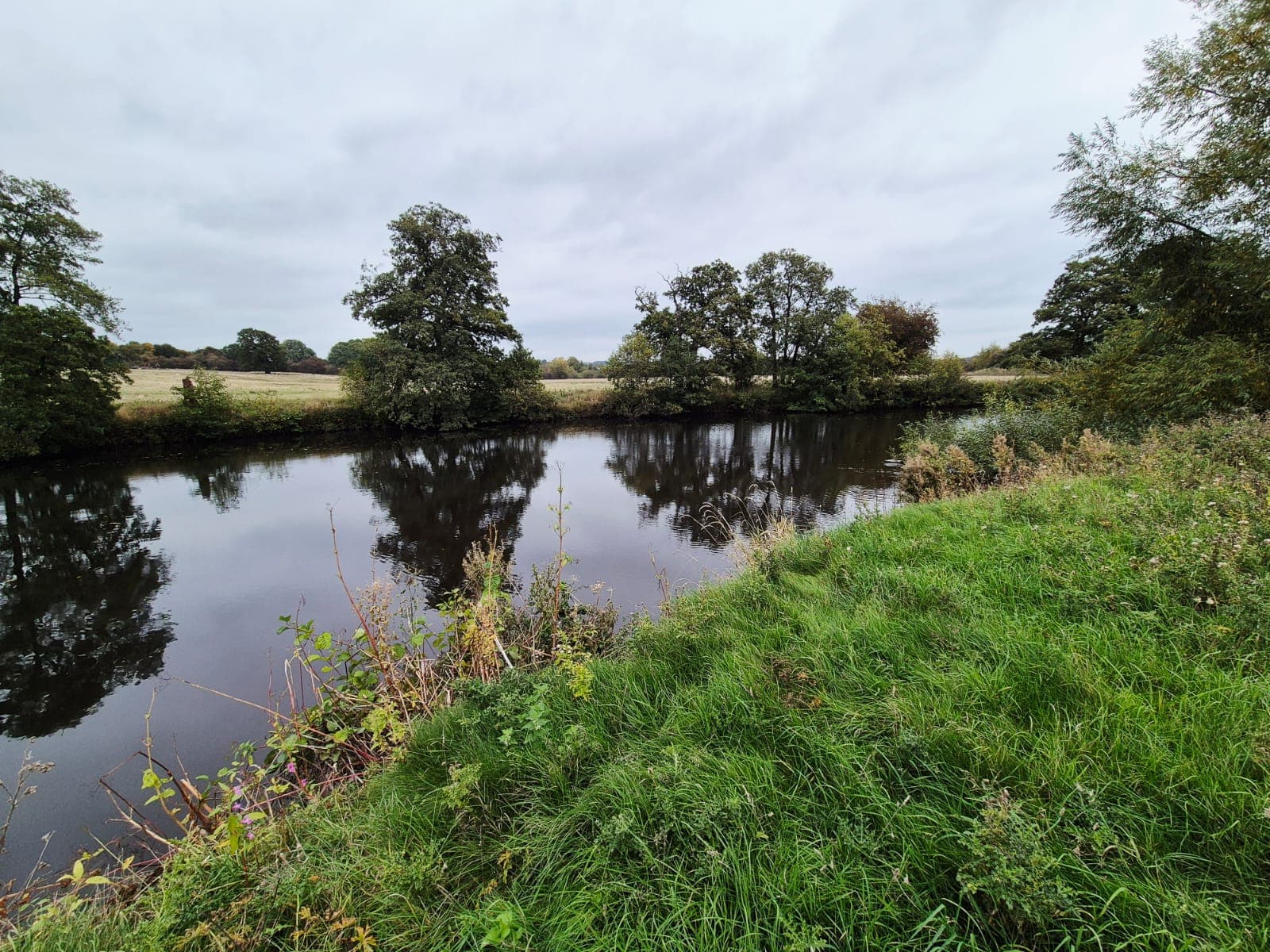 River Derwent – Darley Abbey photo 8