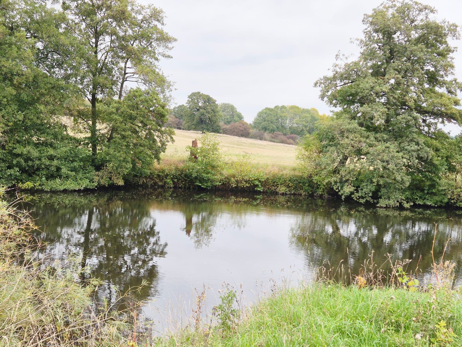 River Derwent – Darley Abbey photo 10