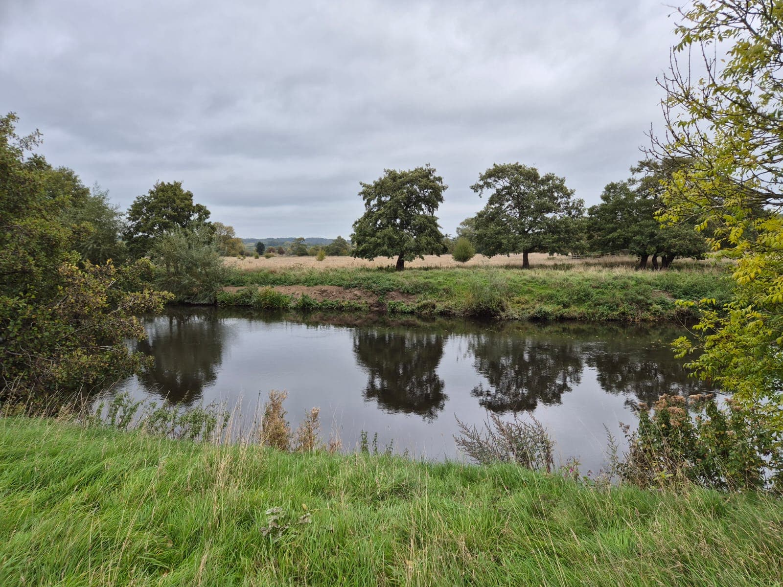 River Derwent – Darley Abbey photo 11