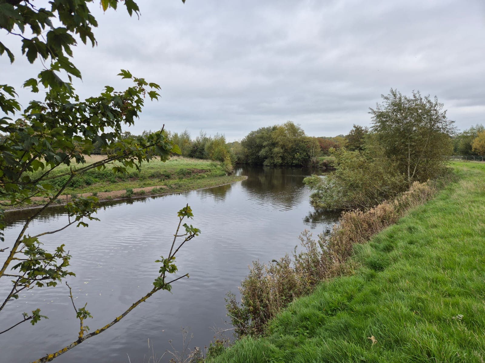 River Derwent – Darley Abbey photo 12