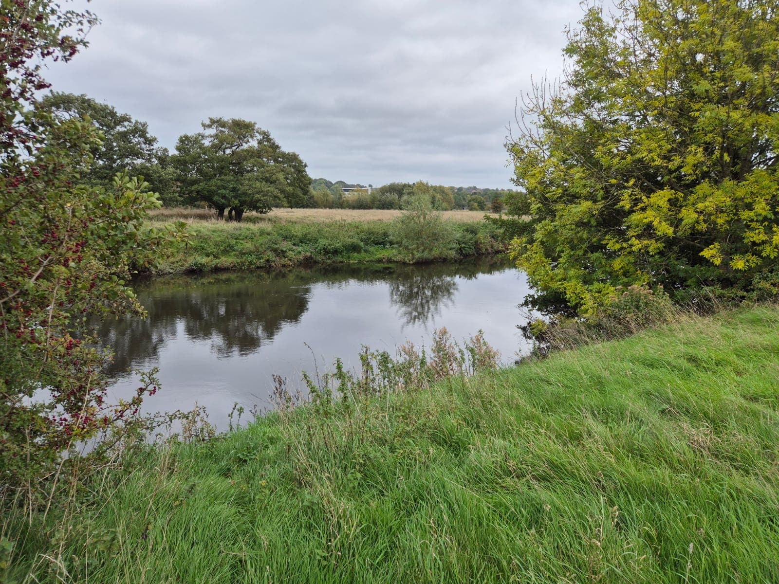 River Derwent – Darley Abbey photo 13