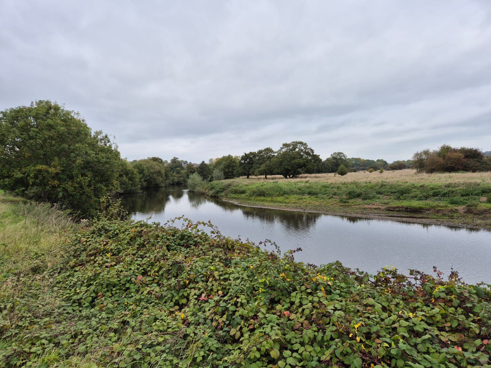 River Derwent – Darley Abbey photo 15