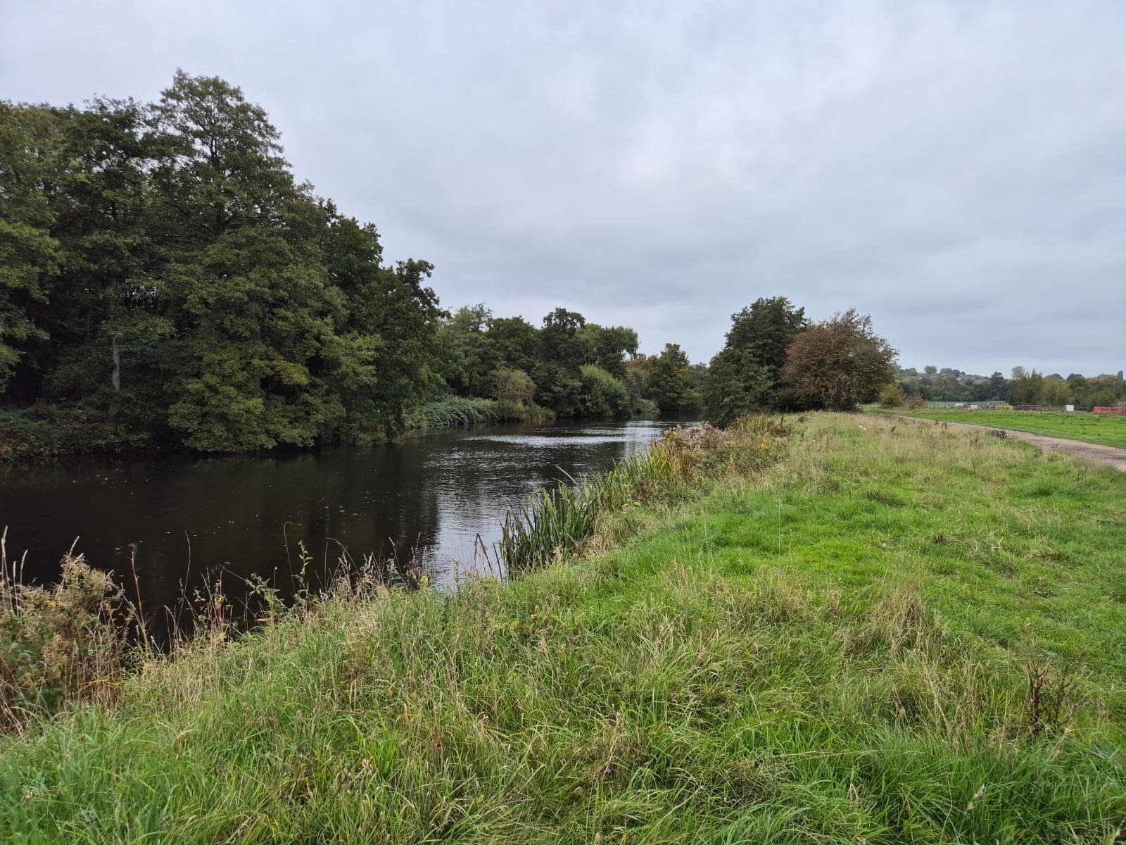 River Derwent – Darley Abbey photo 17