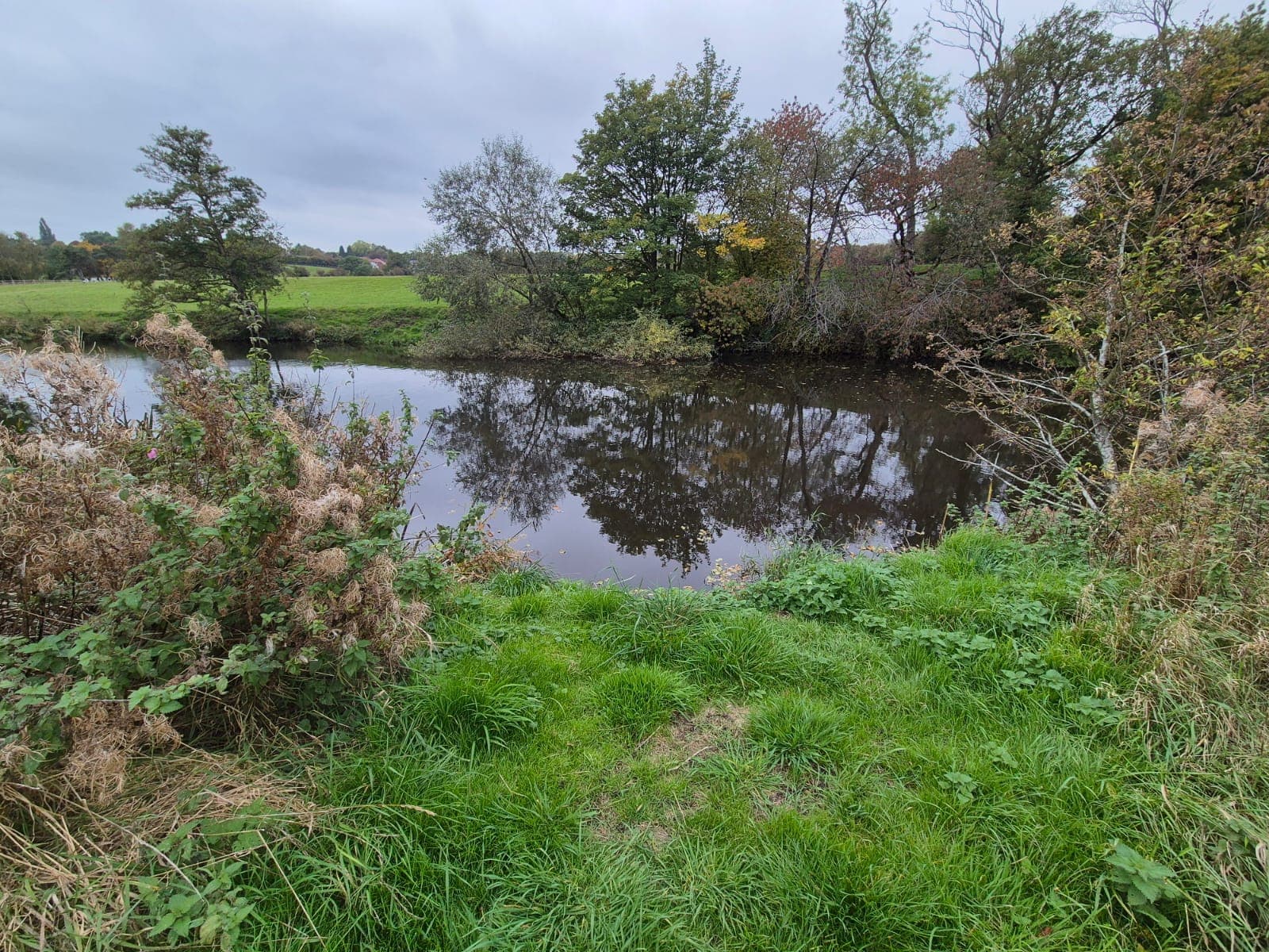 River Derwent – Darley Abbey photo 18