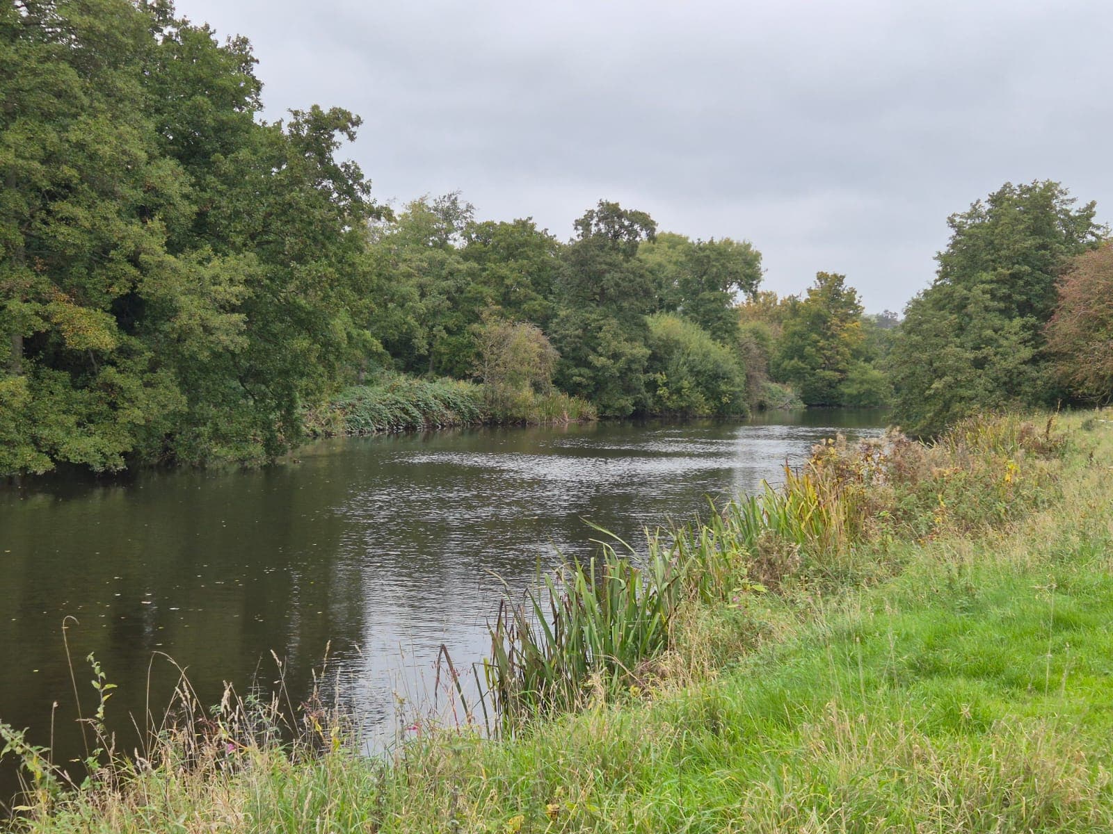 River Derwent – Darley Abbey photo 20