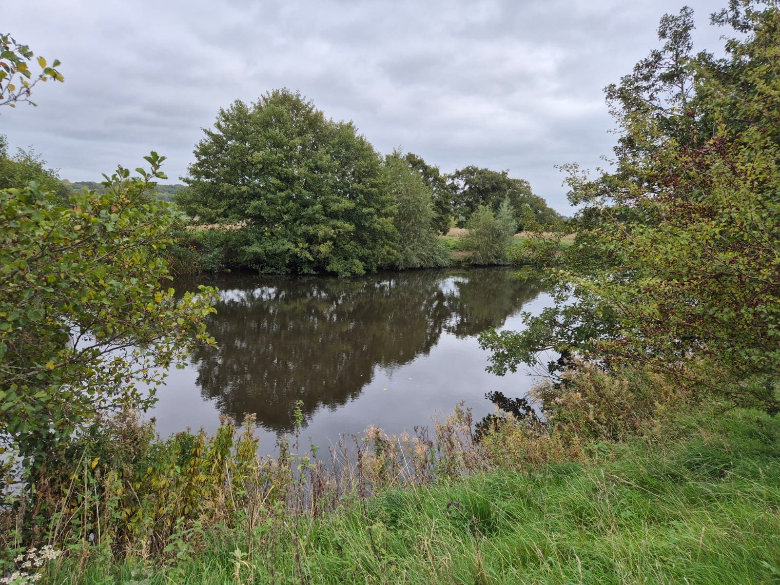 River Derwent – Darley Abbey photo 21