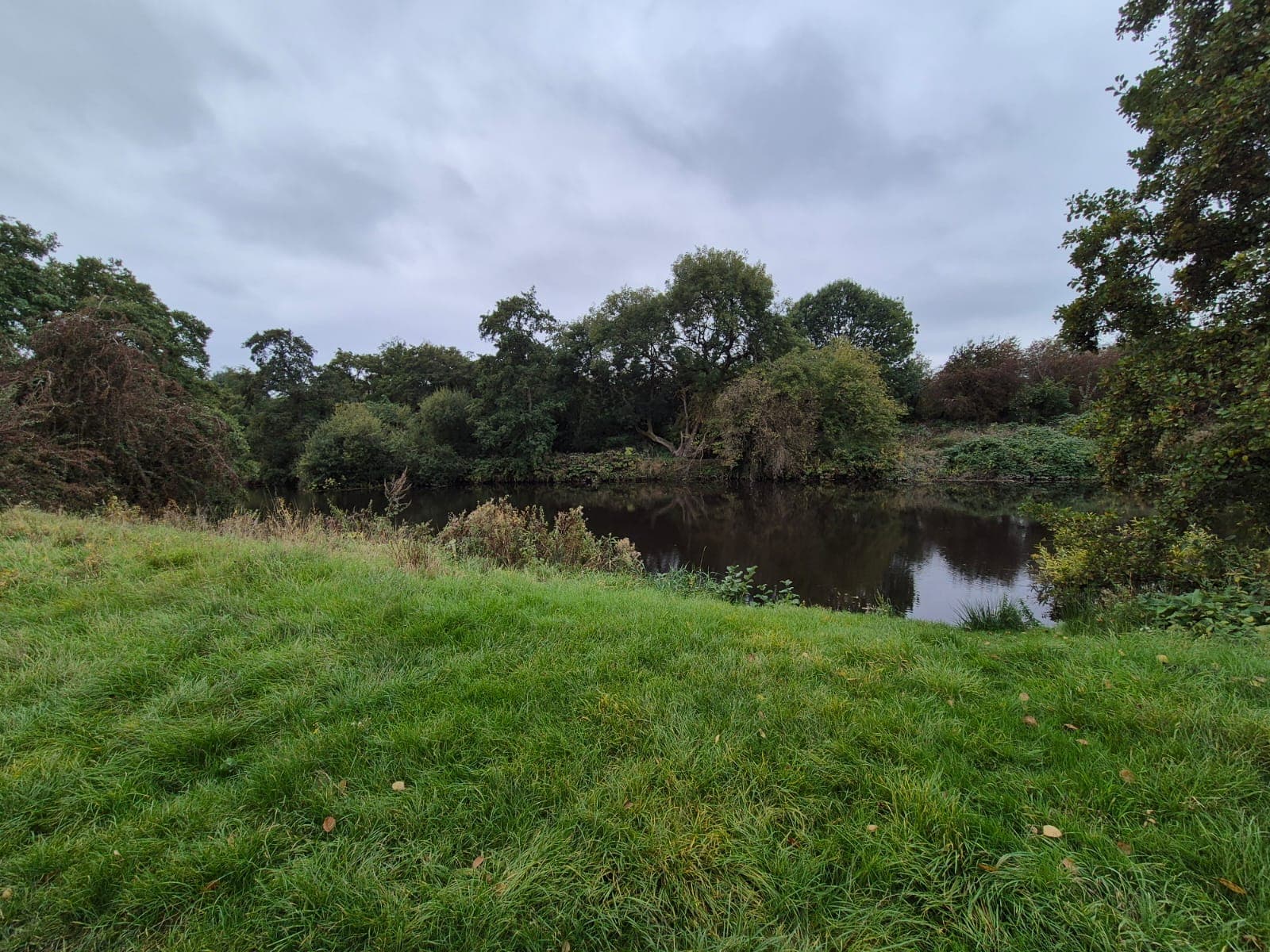 River Derwent – Darley Abbey photo 24