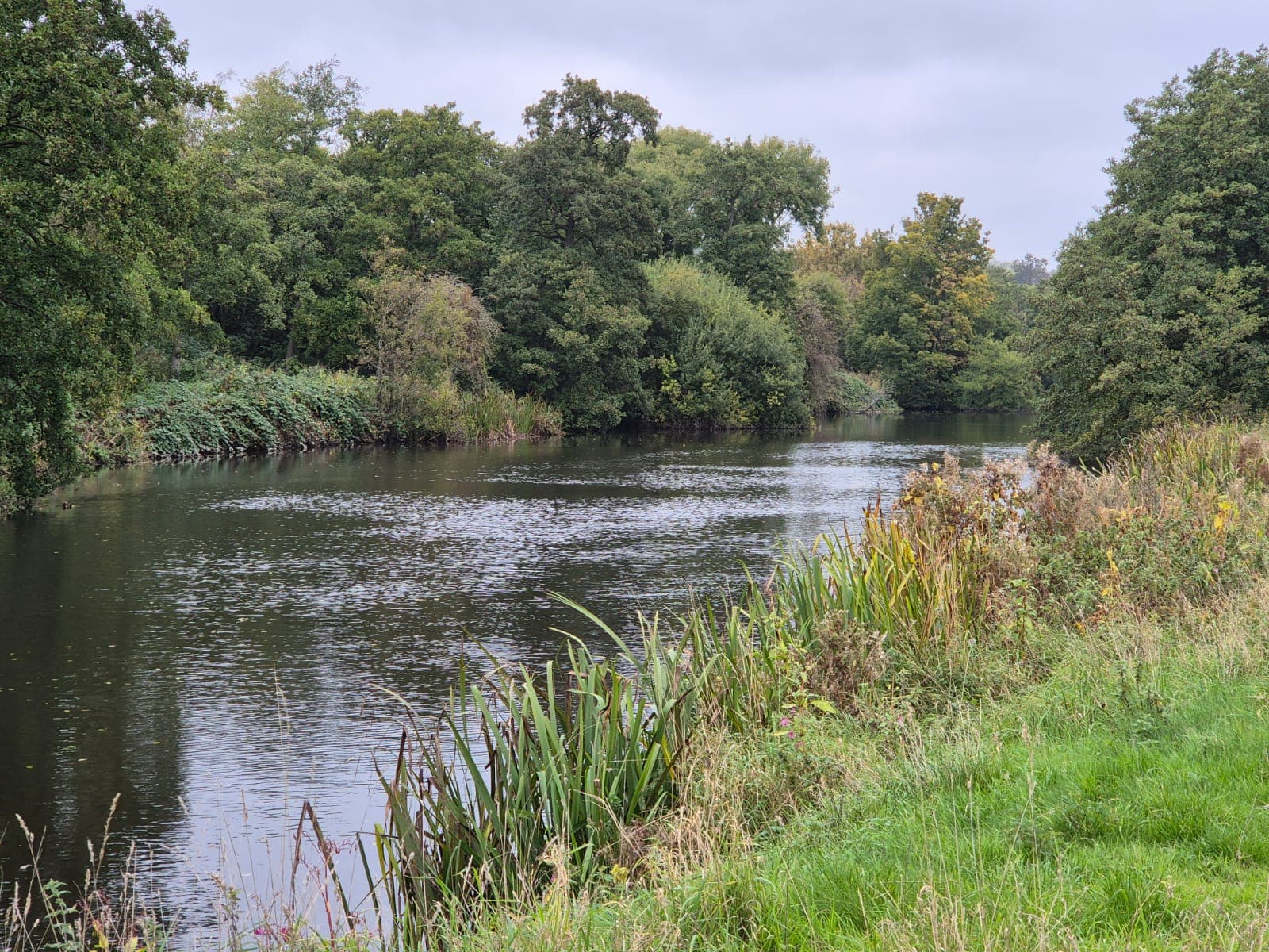 River Derwent – Darley Abbey photo 25