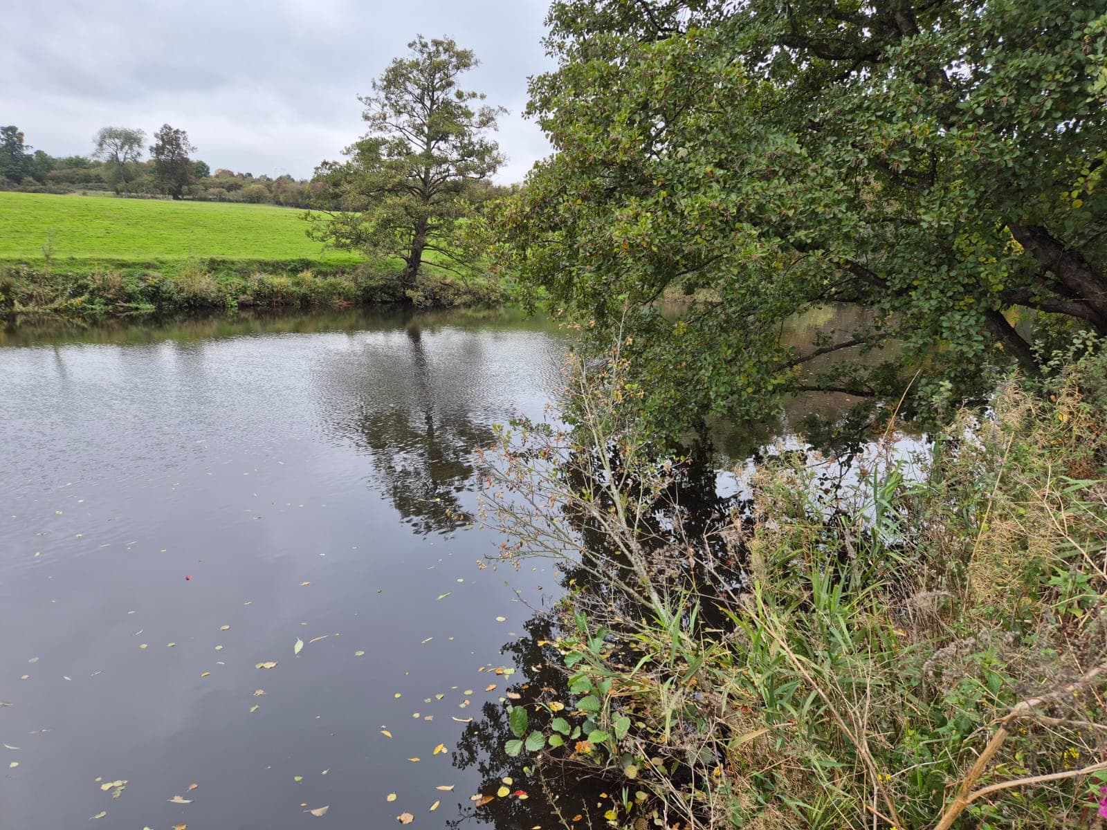River Derwent – Darley Abbey photo 26