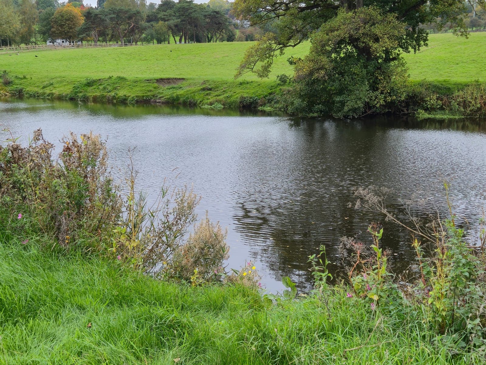 River Derwent – Darley Abbey photo 27