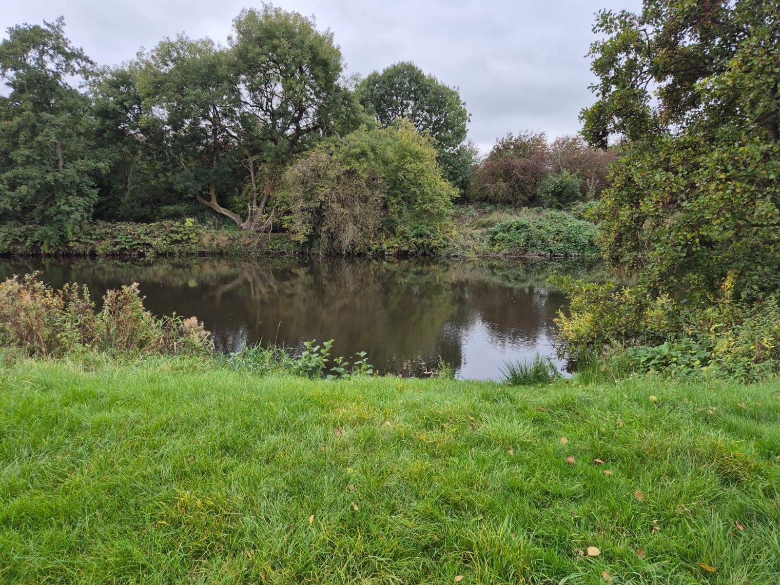 River Derwent – Darley Abbey photo 28